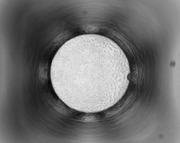 X0000103430604200810101044