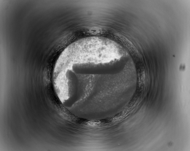 X0000103430606200810101044