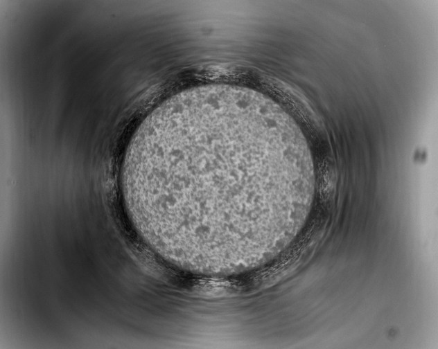 X0000103430607200810101044