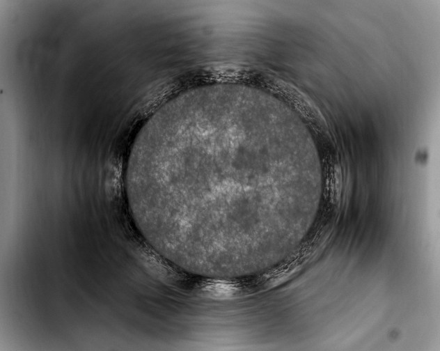 X0000103430610200810101044