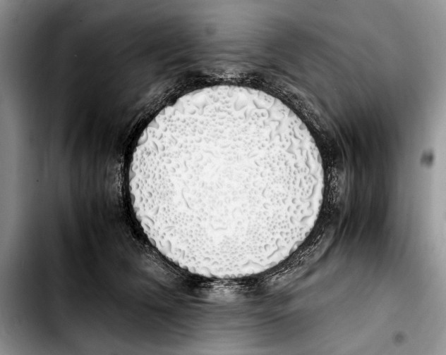 X0000103430612200810101044