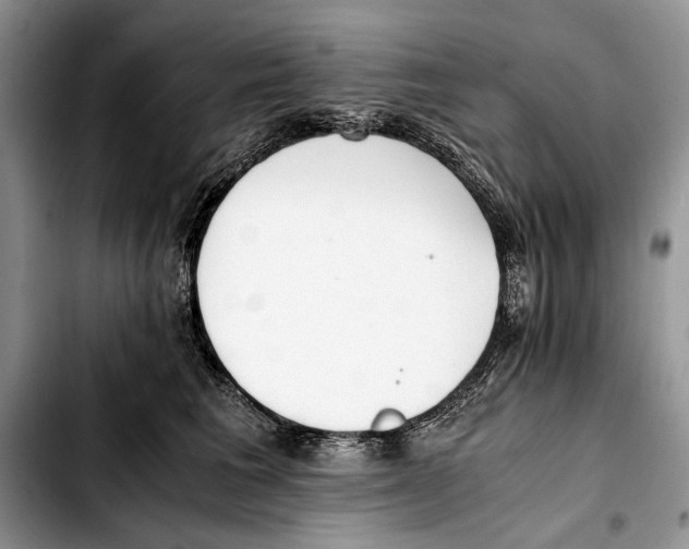 X0000103430613200810101044