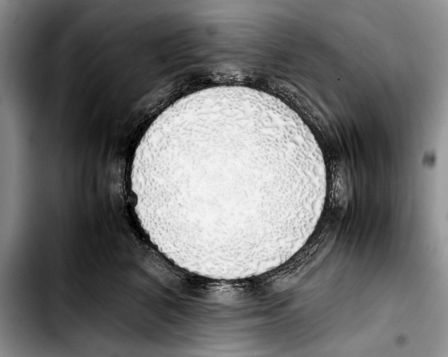 X0000103430616200810101044