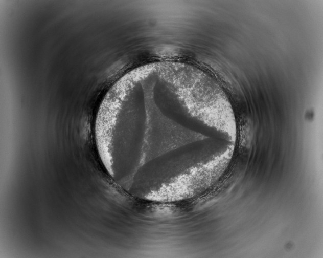 X0000103430618200810101044