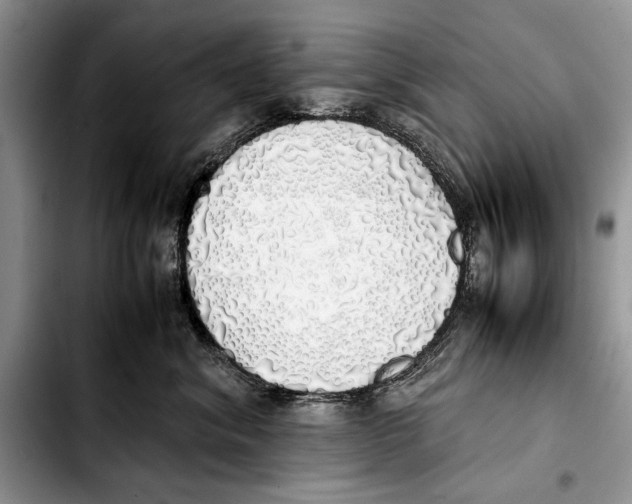 X0000103430620200810101044