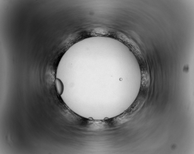 X0000103430621200810101044