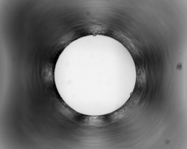 X0000103430622200810101044