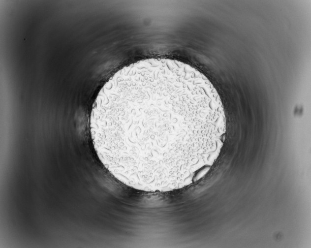 X0000103430624200810101044