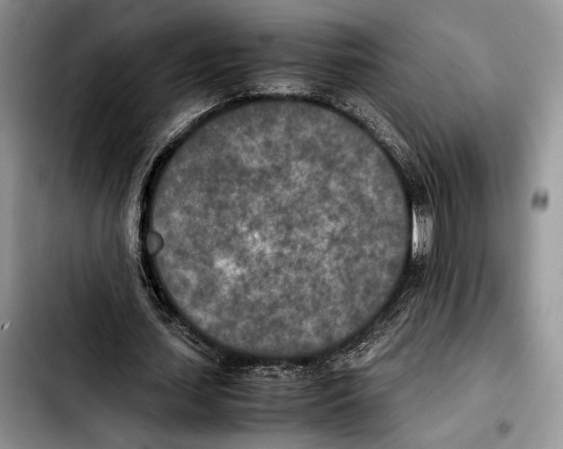X0000103430627200810101043