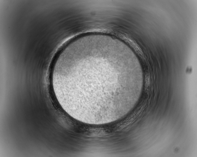 X0000103430628200810101043