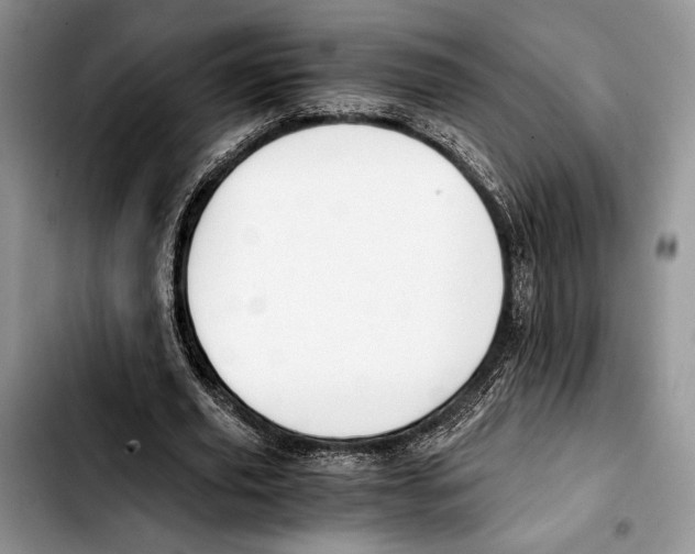 X0000103430629200810101043