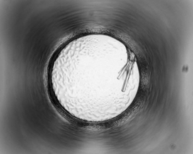 X0000103430630200810101043