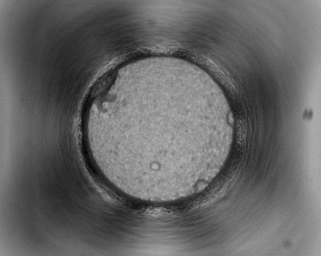 X0000103430634200810101043