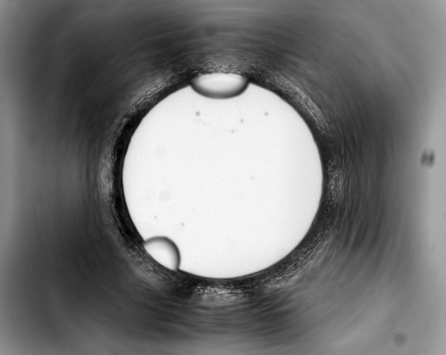 X0000103430635200810101043