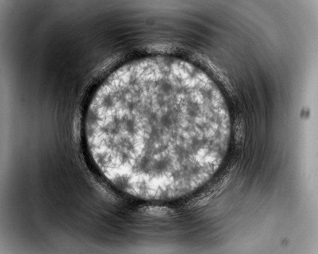 X0000103430637200810101043