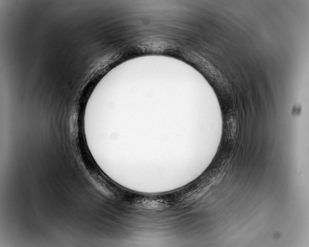 X0000103430638200810101043