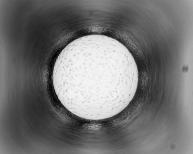 X0000103430639200810101043