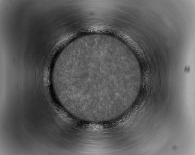 X0000103430640200810101043