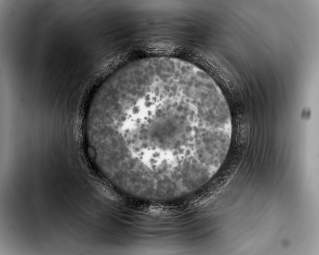 X0000103430641200810101043