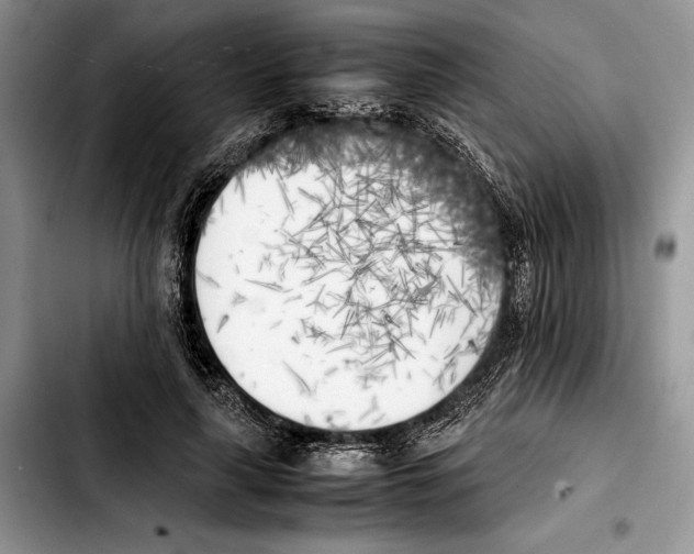 X0000103430643200810101043