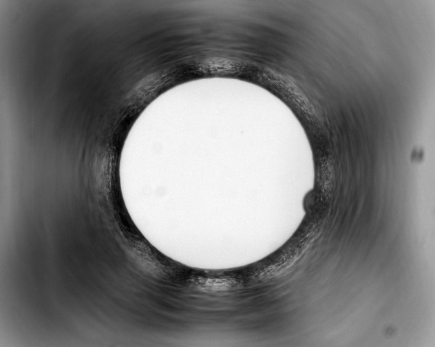 X0000103430645200810101043