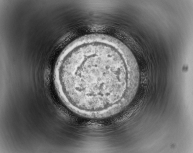 X0000103430648200810101043
