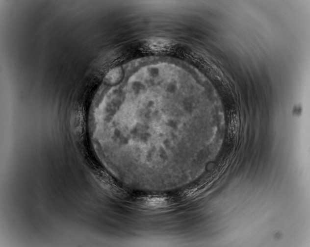 X0000103430651200810101043