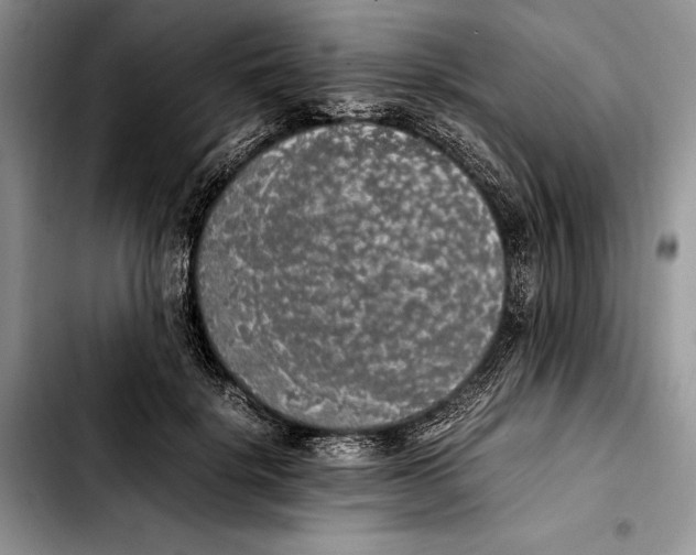 X0000103430652200810101043