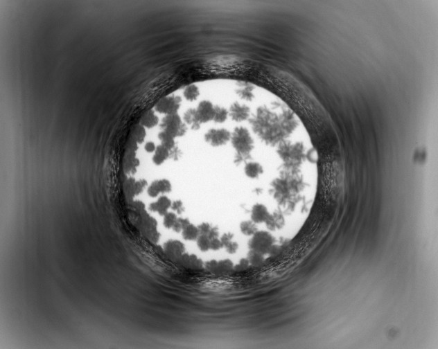 X0000103430653200810101043