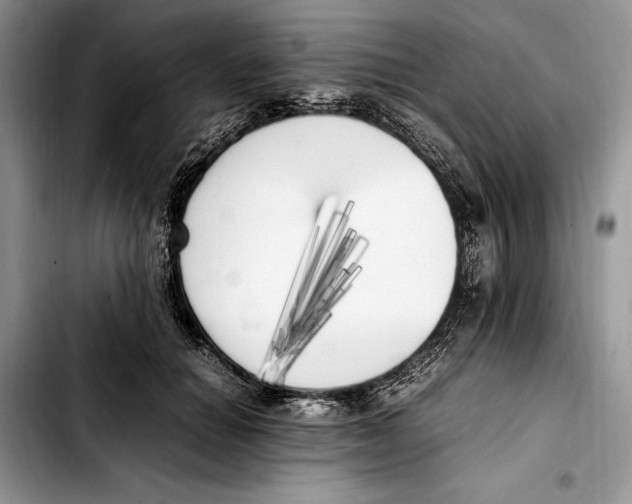 X0000103430654200810101043