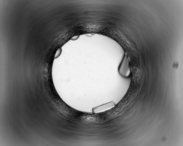 X0000103430655200810101043
