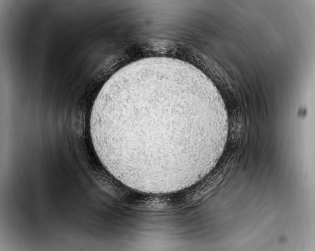 X0000103430656200810101043