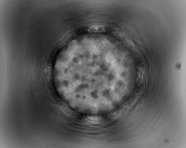 X0000103430659200810101044