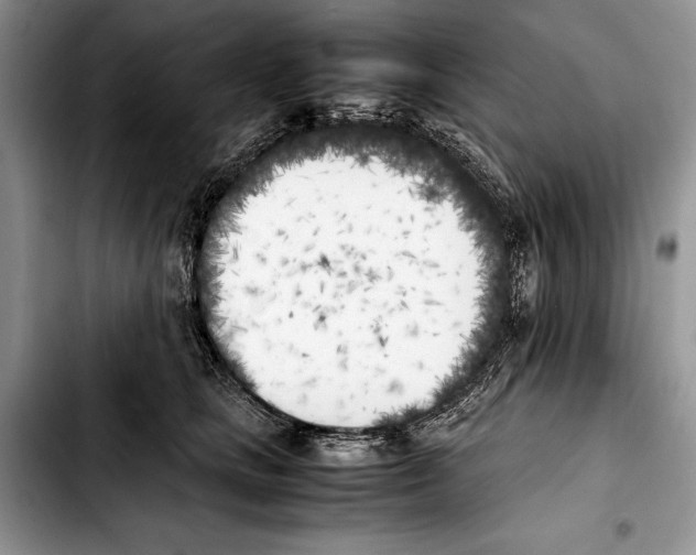 X0000103430661200810101044