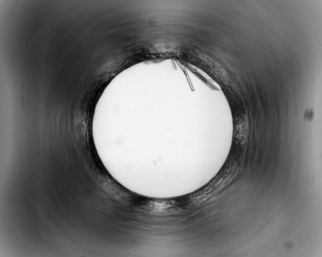 X0000103430662200810101044