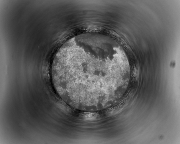 X0000103430663200810101044