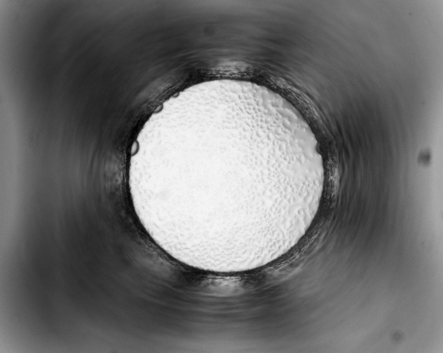 X0000103430665200810101044