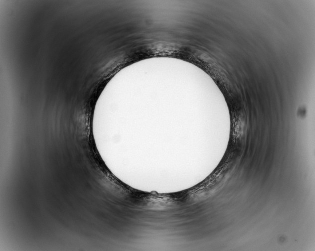 X0000103430666200810101044