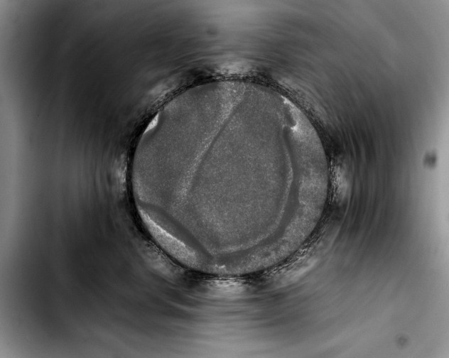 X0000103430668200810101044