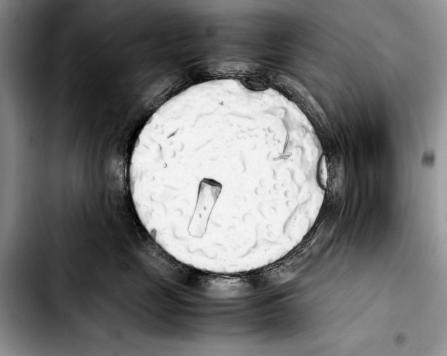 X0000103430669200810101044