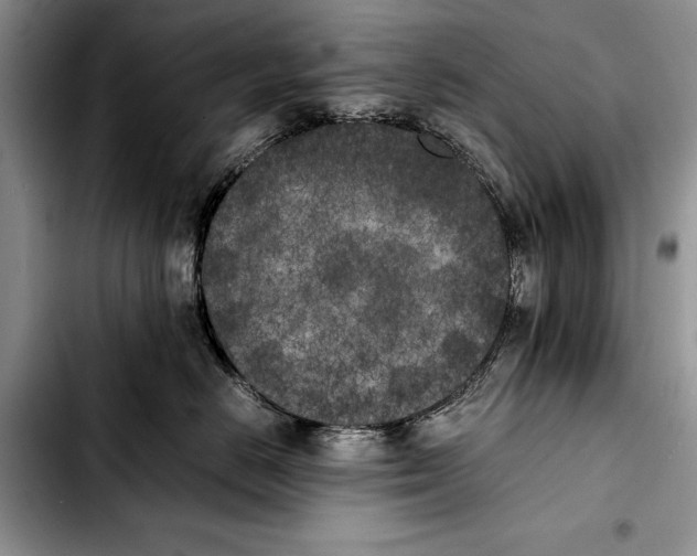 X0000103430670200810101044