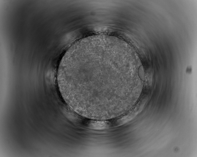 X0000103430671200810101044