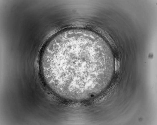 X0000103430675200810101043