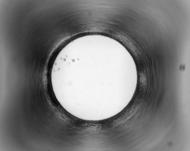 X0000103430676200810101043