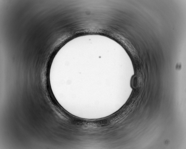 X0000103430677200810101043