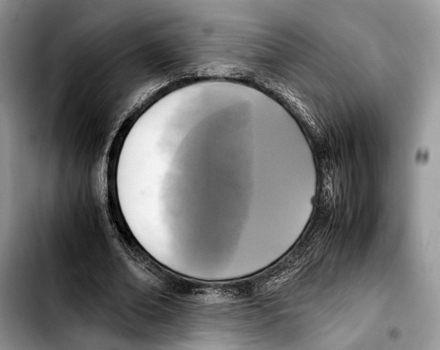 X0000103430678200810101043