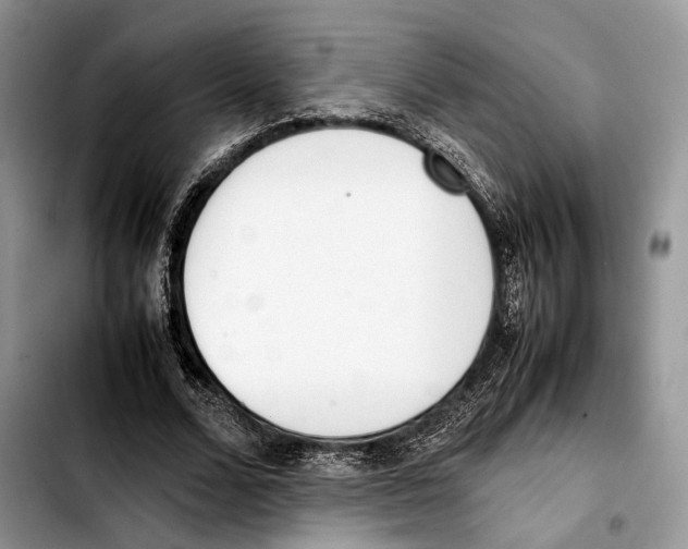X0000103430680200810101043