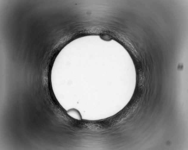 X0000103430681200810101043