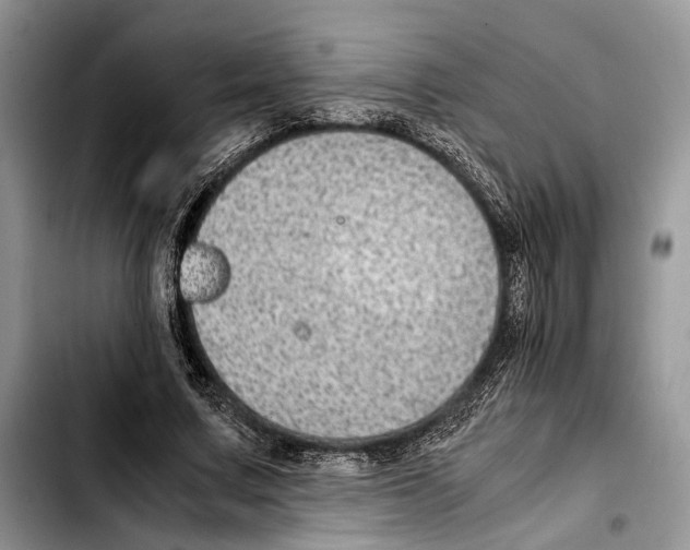 X0000103430683200810101043