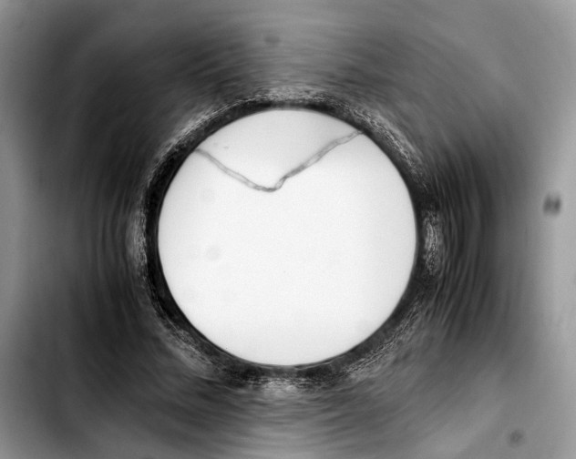 X0000103430684200810101043